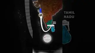 Turtle 03233: India&rsquo;s Record-Breaking Sea Voyage! From Odisha to Maharashtra | Olive Ridley !