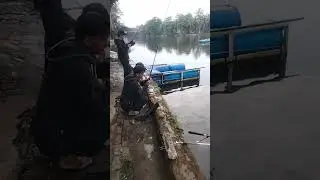 Setu borces