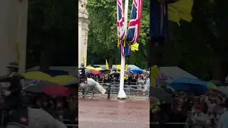 Anti-monarchy protest during Trooping the Colour 15.06.2024
