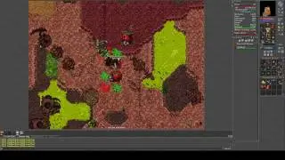 Tibia Gray Island Quirefang Quest for 100