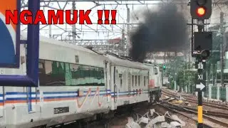 ARGO SINDORO NGAMUK !!! Masinisnya Bikin Lokomotif CC 203 Kobong Paraaah Sampai Ngebul !!
