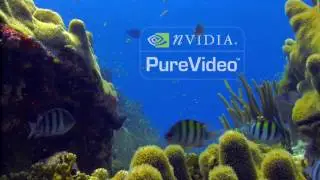 Nvidia PureVideo 720p 2004