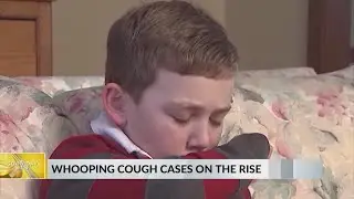 West Virginia health officials warn of rising Pertussis cases