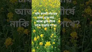 #কালের চক্র # সময়েরখেলা # জিবনেরসত্য#reality of life #time never stops #motivational # your muskan