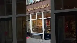 Кофейня The Canna Club в Гааге (2025)