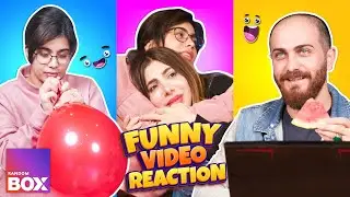 Kurdish Funny video ReAction | ShowBox | کاردانەوە لەسەر ڤیدێوی کۆمێدی لە شۆبۆکس