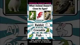 Ultimate Animal Trivia