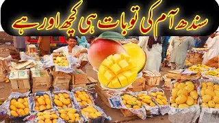 Mango world Islamabad | Premium Export Quality Mango | Daily Islamabad Update | Different varieties