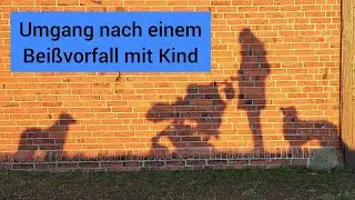 Fragerunde: Umgang nach einem Beißvorfall beim Kind | Wenn Hunde beißen