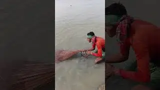 Amazing net Fishing Video #amazingfishing #nature1 #fishing #vrilshorts #foryou #youtubeshorts