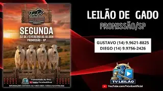 BOI FORTE LEILÕES AO VIVO - PROMISSÃO - SP | LEILÃO DE GADO | 02/02/2026