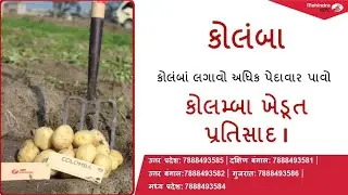 કોલમ્બા ખેડૂત પ્રતિસાદ 🥔કોલંબાં લગાવો અધિક પેદાવાર પાવો 🥔#colomba #farmer #newvariety #seedpotato