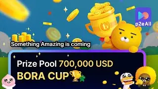 Birdie Shot Bora Cup - Общий призовой фонд 700 000 долларов.
