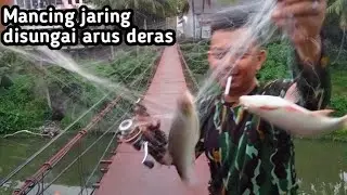 Mancing jaring ikan lampam / tawes di musim kemarau