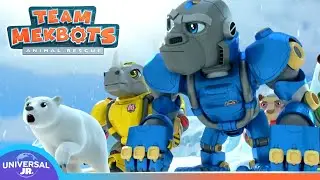 Team Mekbots Brave the Blizzards! 🌨️ | TEAM MEKBOTS ANIMAL RESCUE