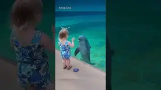She's Smiling And Mimicking Mouth Movements What An Angel 🐬✨ #dolphin #cutebaby