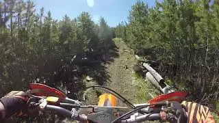 July 5, 2020 Lookout Creek