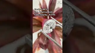 Oval Cut Lab Grown diamond  #diamond #cvddiamond #labgrowndiamond