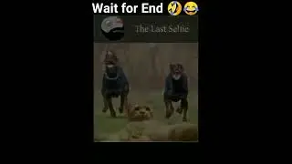 😂The last selfie😂😂| Funny memes | 🤣🤣🤣🤣🤣🤣#shorts #shortvideo #latest