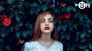 Best Electro House Music May 2017