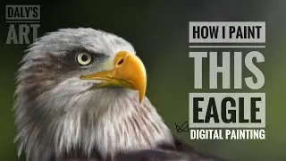 How I paint this Eagle | Realistic Digital painting | iBisPaint | See my steps at description below