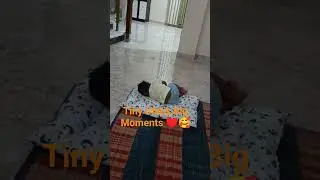 Tiny Steps, Big Moments My Cute Pie 💖 #baby #cute #cutebaby #babybunny #little #babyboo ,cute 🥰