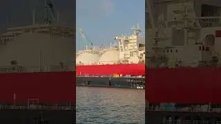 FLOATING DOCK/ dock apung yg ada di Batam #shorts #batam #floating #KTU