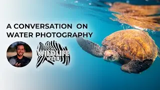 Zak Noyle: A Conversation on Water Photography | #BHWildlifeWeek