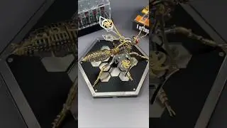 3D Wasp Stainless Steel Model Adult Assembly Kit Toy Anti-Stress #online buy Link Description #