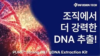 Infusion Tech │PURE&trade; Strong B&T gDNA Extraction Kit : 조직에서 강력한 DNA 추출!