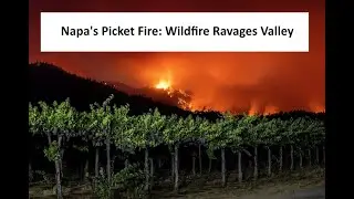 Napa&rsquo;s Pickett Fire: Wildfire Ravages Valley