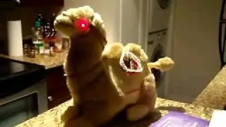 Scary Camel