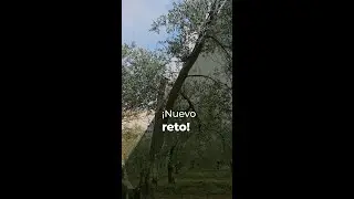NUEVO RETO - ARBEQUINO 7X5 ECOLÓGICO