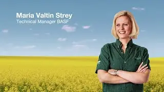 Hogyan v&eacute;dj&uuml;k meg a repc&eacute;t a szklerot&iacute;ni&aacute;t&oacute;l?  Pictor&reg;