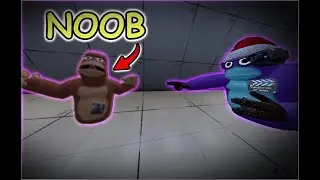 TEACHING New player HOW to be a GOD | Animal Rivals