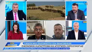 Οικονομική καταστροφή και απόγνωση λόγω ευλογιάς  | Ethnos