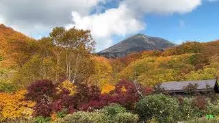2025八甲田酸ヶ湯紅葉・4K