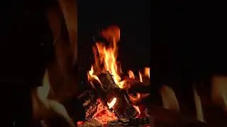 Calming Fireplace Sounds #Shorts