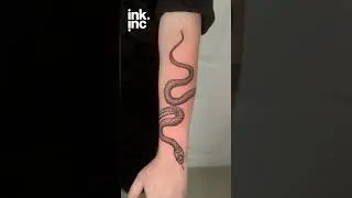 Black ink snake tattoo wrapping forearm