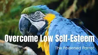 Overcome Low Self-Esteem | The Poisoned Parrot Story | Hypnotherapy Insight