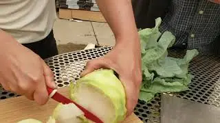 Produce Handling Tips with Grant - Kohlrabi!