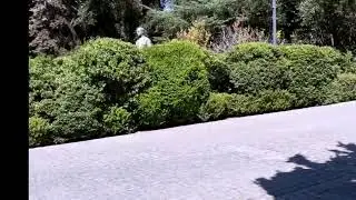Casa Yarur Bascu&ntilde;an que alberga el Museo de la Moda