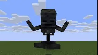 Wither Skeleton Hacking
