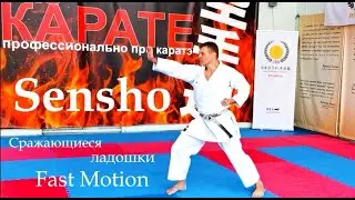 Sensho Koten Kata