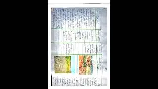 Teaching Of Economics Macro Lesson Plan (TOPIC- LAND DEGRADATION-FACTORS)