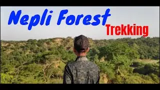 Nepli Forest Trekking, Chandigarh, (Forest & Wild Life)