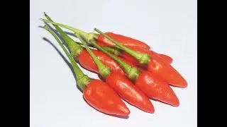 Кайенский перец