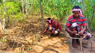 Ready is Primitive Technology Trap! What got caught in the Village Hunter trap? Wacth Video