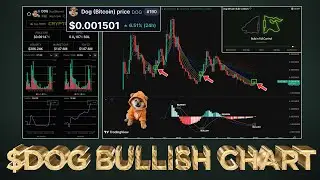 $DOG Bullish Indicators Flashing 💥 (90 Week Bear Trend Broken )