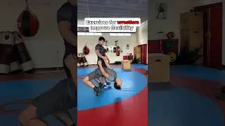 Exercises for WRESTLERS to improve mobility